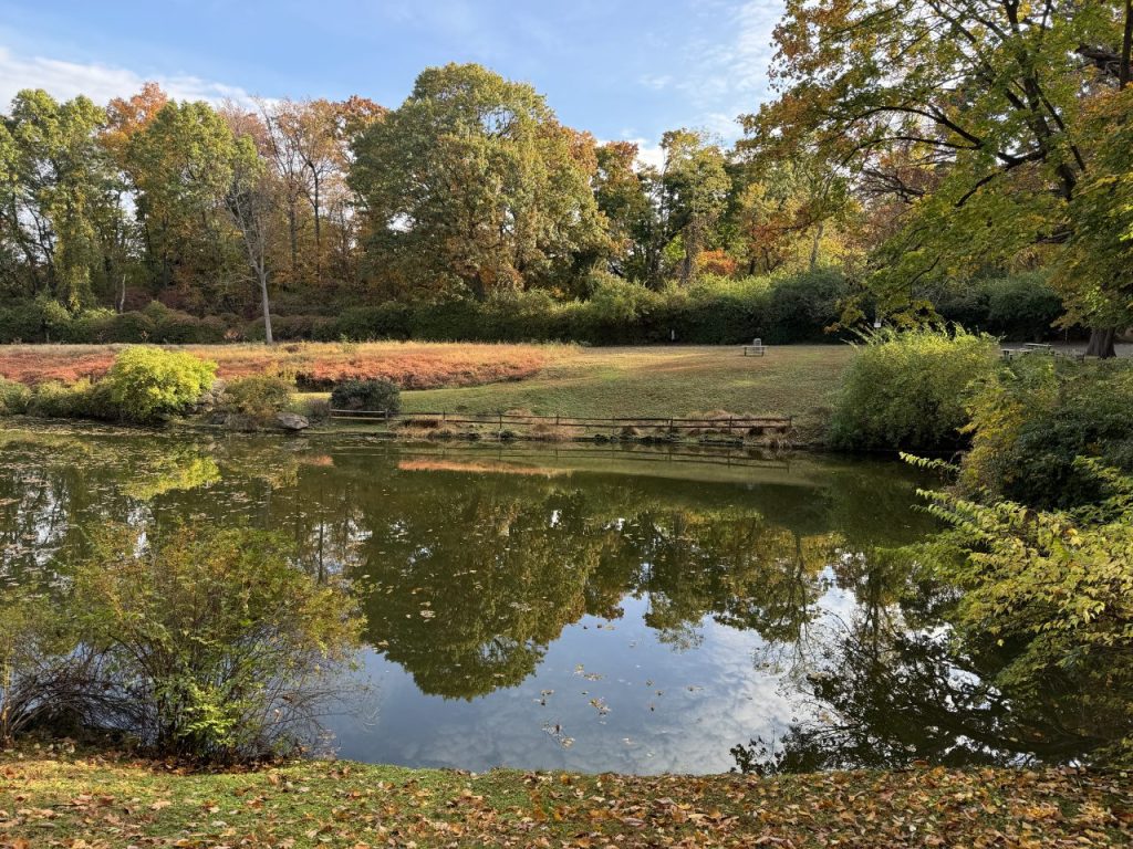 Sands Point Pond Oct 27th, 2024