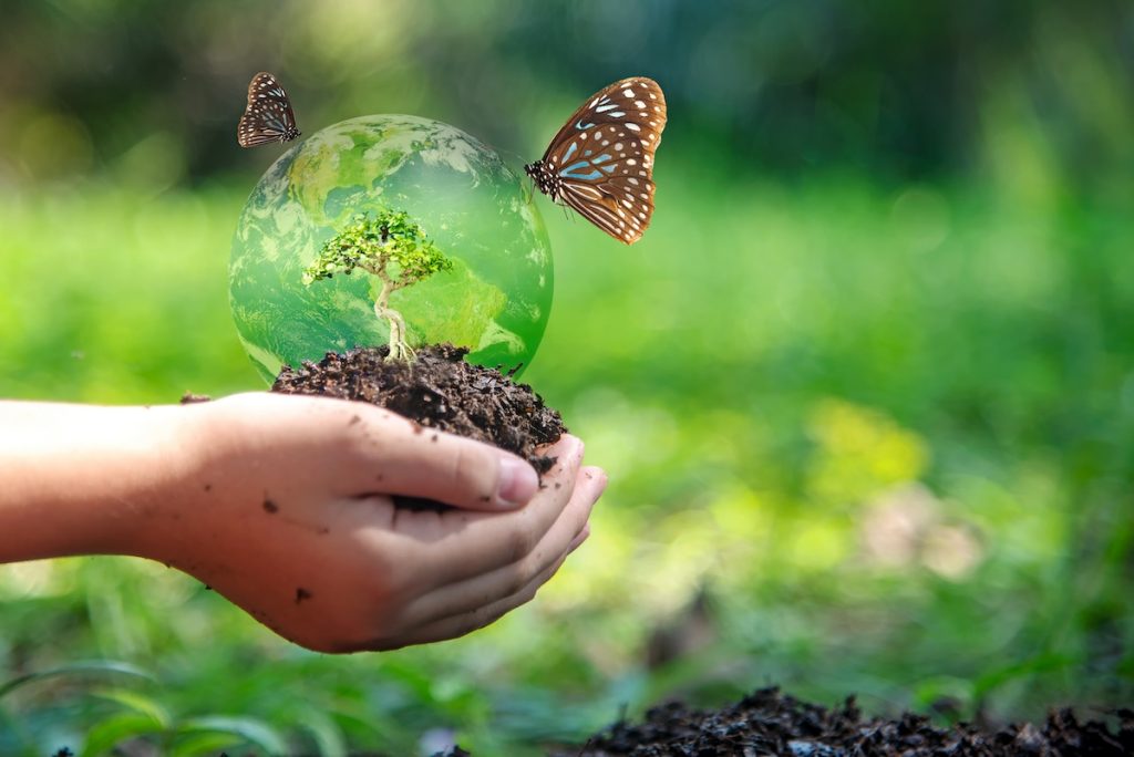 ecosystem solutions