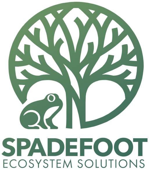 Spadefoot Ecosystems Solutions